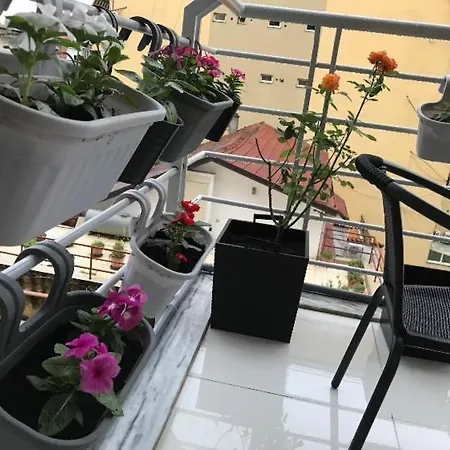 아파트 14 At Pazariiri 티라나